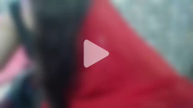 Sexy_iknoor photo 11