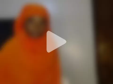 Sexyprecious01 photo 8