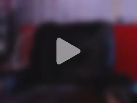 ShanyFerrati photo 2