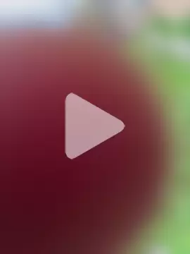 Shawnronald420861 photo 3