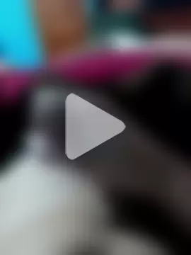 ShelaoMarsen photo 19