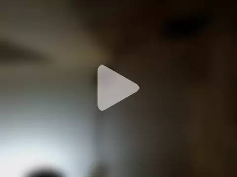 Shemalefucker79 photo 16