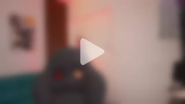 SheylaBakerr photo 21