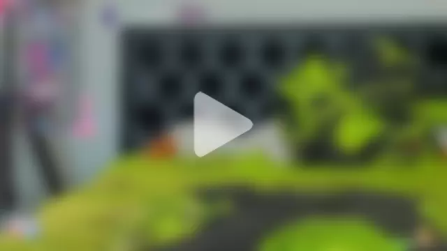 Shirley_Thomas photo 1