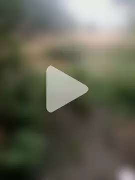 Shivanisingh4 photo 7