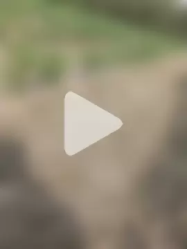 Shivanisingh4 photo 4