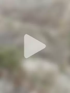 Shivanisingh4 photo 3