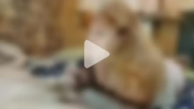 Siberia-Taiga photo 17