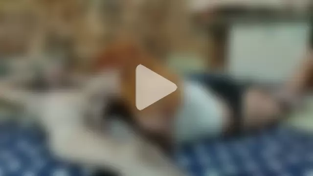 Siberia-Taiga photo 13