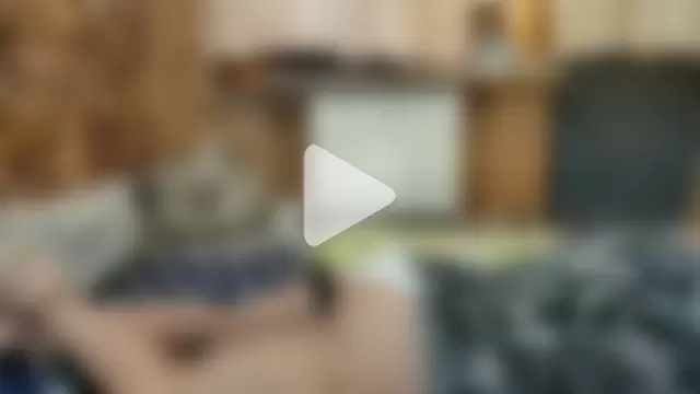 Siberia-Taiga photo 9