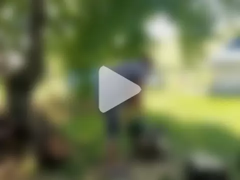 Sir_pelo photo 10