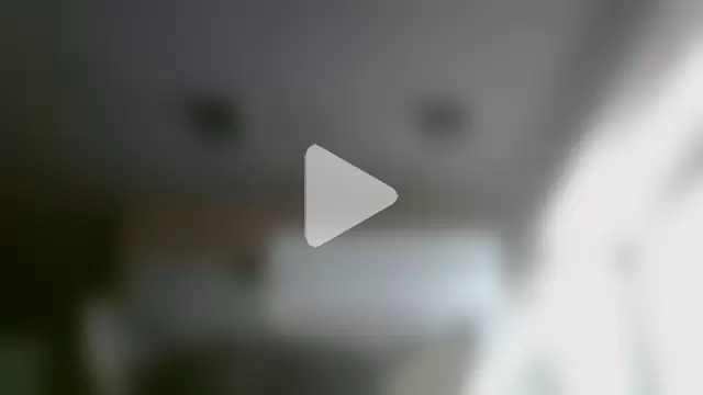 SkinnyKitten photo 18