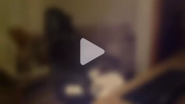 Smoker_Ginger photo 9