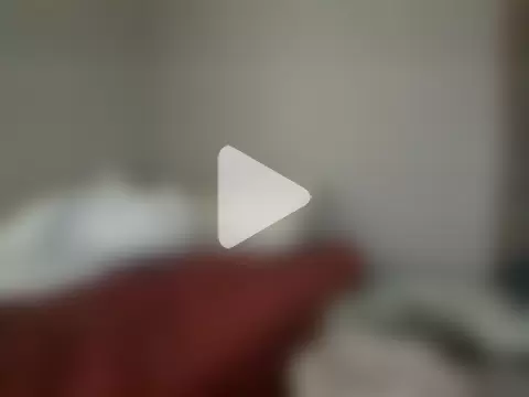 SmokingSloth photo 12