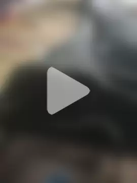 Snake465 photo 1