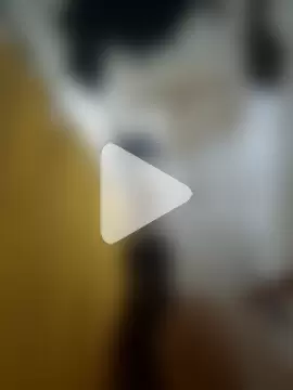 Snowbunnycake_131 photo 6