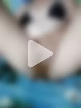 SoSweetPearl photo 25