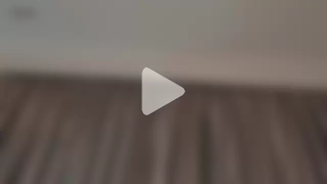 SofiDavid photo 18