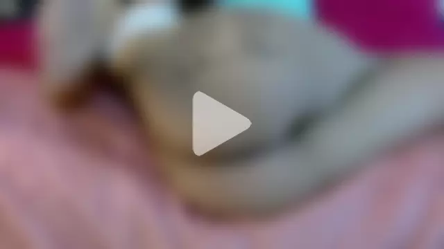 Sofia_DirtyAnal photo 1
