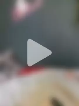 SophiaBlackfoxx photo 3