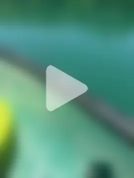 SophiaXJohn photo 10
