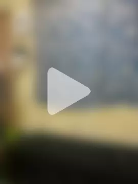 Sorrydick2 photo 16