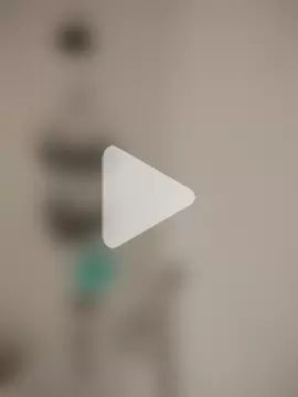 SpiderRose444 photo 16