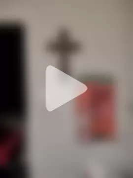 SpiderRose444 photo 9