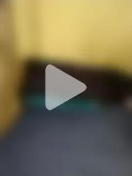 Stallion100 photo 24