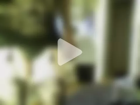 Starscouter73 photo 15