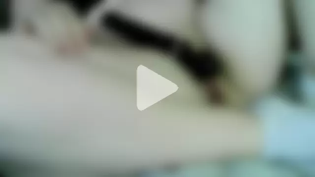 Steffitofuck photo 11