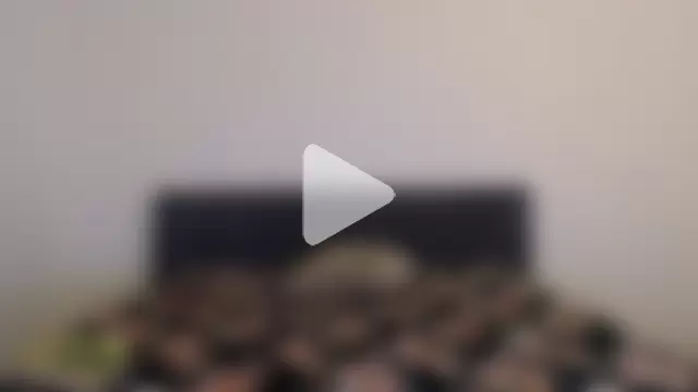 Stella_John photo 16