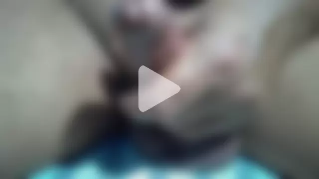 StereoSock photo 14