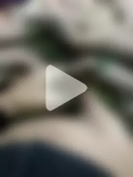 StripchatAssam93 photo 24