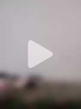 Sudubeby2410 photo 26