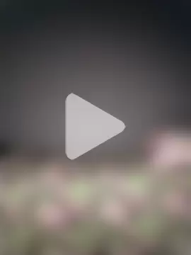 Sudubeby2410 photo 13