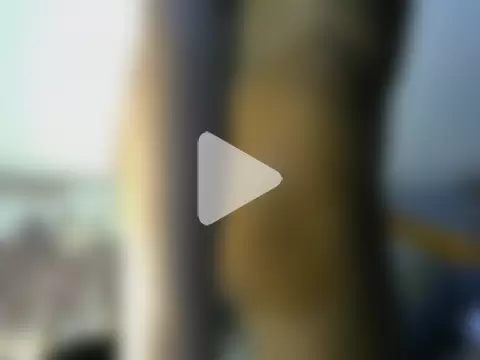 Sugardolly_ photo 16