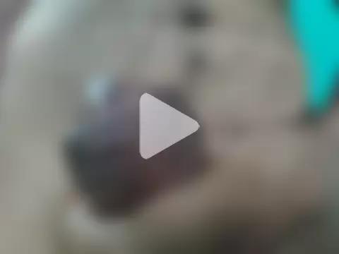 Sultryandrews photo 5