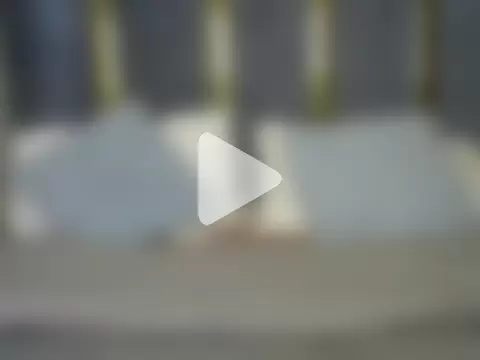 Sunrise_starr photo 3