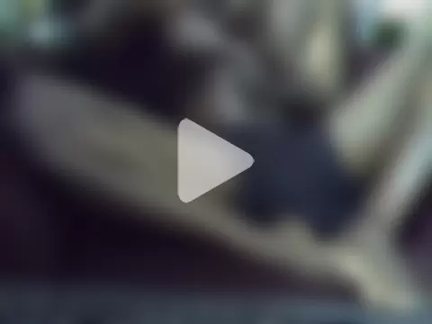 Super-star254 photo 18