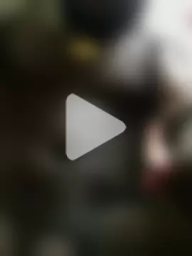 Super-star254 photo 5