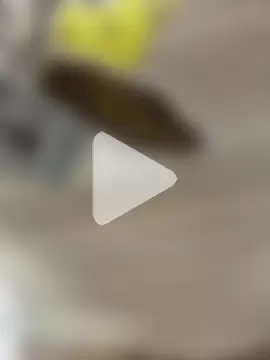 SweetBunnyGF photo 7