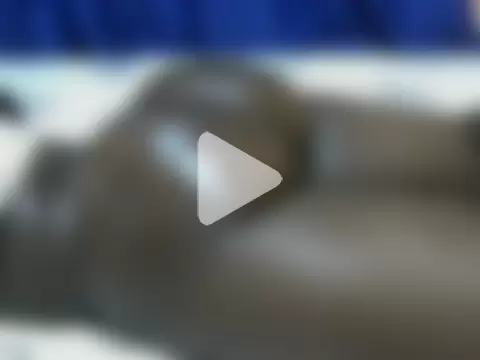 Sweet_candy43 photo 1