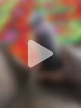 Sweety_Tamil_boy photo 10