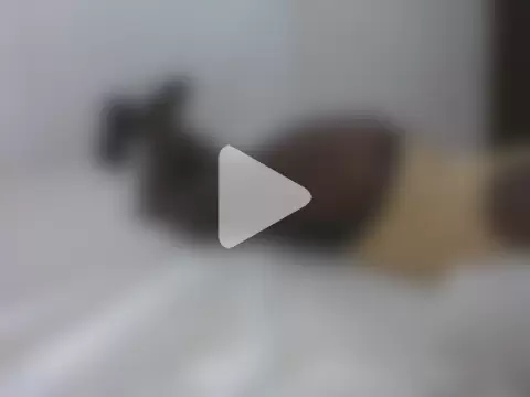 Switdelfy photo 2