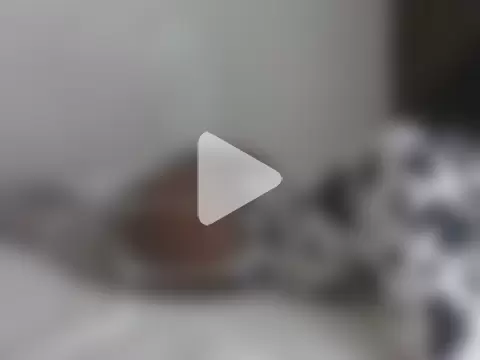 Switdelfy photo 1