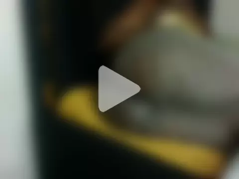 Switmelanin photo 25