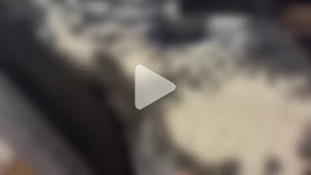 T0Yforeskin photo 17