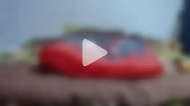 THAKINGHORNY photo 12