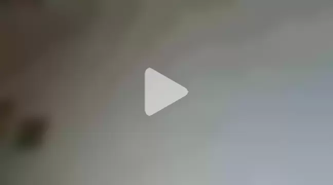 TONY_WHITE_7 photo 10